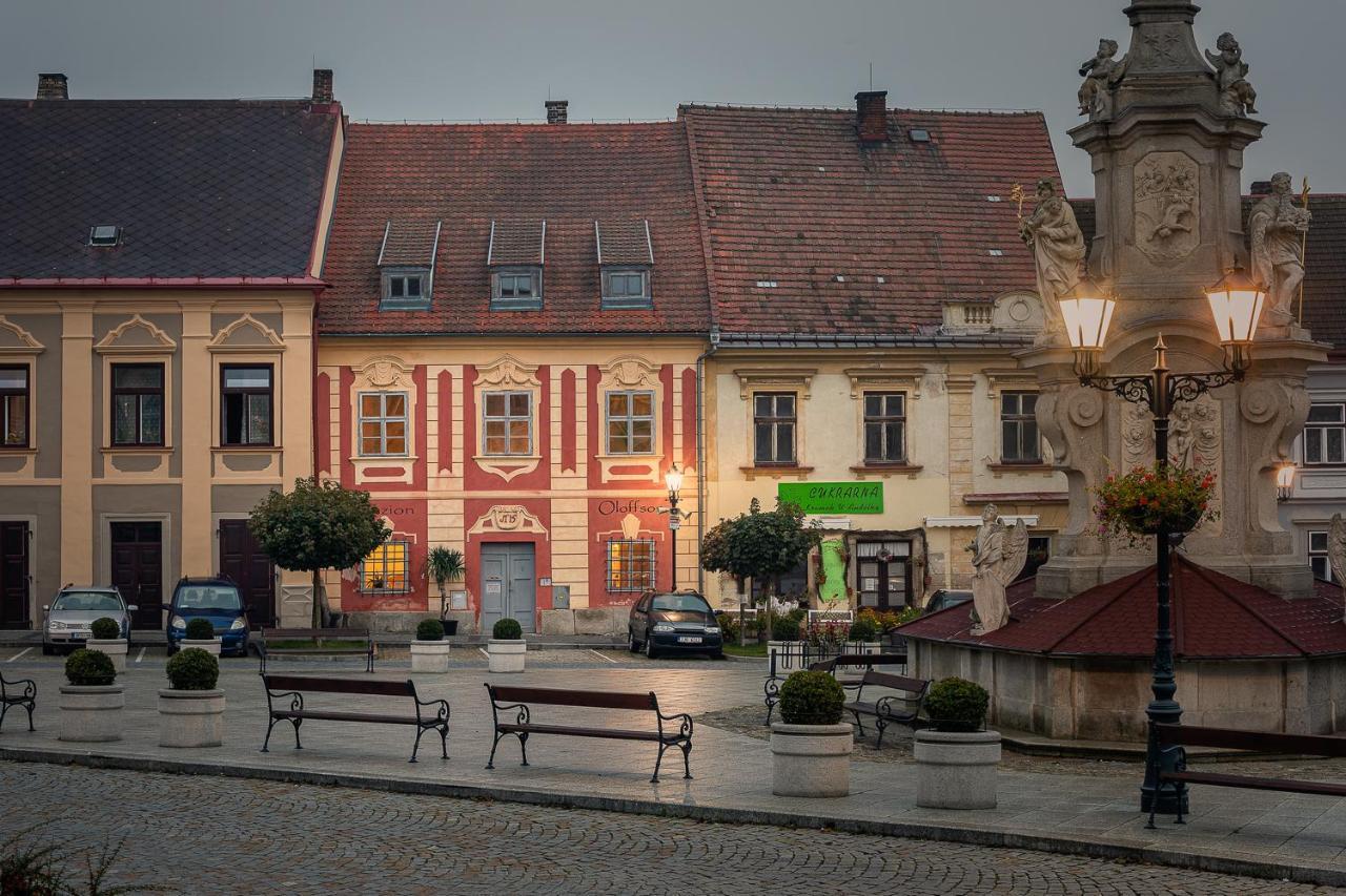 Penzion Oloffson Počátky 외부 사진